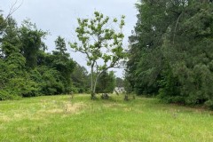 10 Acres in Leake County in Thomastown, MS