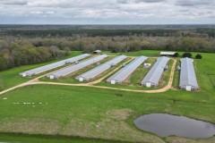 6 House Poultry Broiler Farm for Sale South MS
