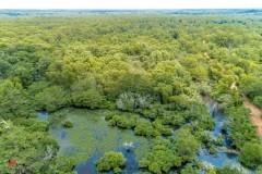320 Acre Tract