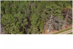 8.1 Acres in Newton County in Lawrence, MS