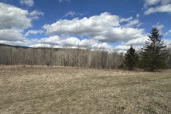 10 acres Recreational Land and Hunting Land in Grove NY County Road 15b with Owner Financing