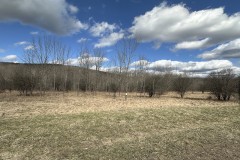 12 acres Recreational Land and Hunting Land in Grove NY County Road 15b with Owner Financing