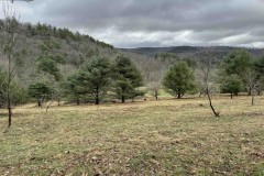 7 acre Building Lot and Recreational Land in Bolivar NY County Road 33