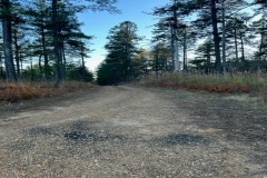 55 acre recreational tract in Marshall County near Holly Springs and Snow Lake Shores