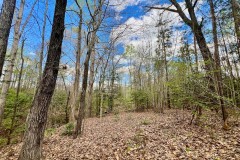 19 acres of Residential and Timberland Land For Sale in Warren County NC!