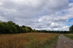 80 acres Tillable Farmland on Clyde River in Galen NY River Road