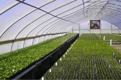 Hemp Farm Marijuana Investment Opportunity with Greenhouses in Valatia NY 321 Running Creek Road
