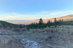 Cove, OR 80+- Acres