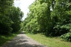 21.174 Wooded Acres in Two Tracts