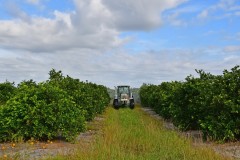 Florida Agricultural Portfolio