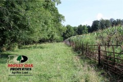 160 +/- Acres in Edgar County, IL
