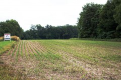 42 Acres Of The Right Mix in Clark County