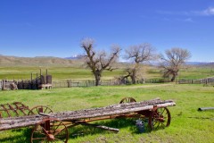 Pleasant Valley Cattle Ranch