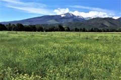 9737988-Outstanding Mountain Views, within 25 Minutes of Salida