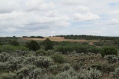 FURY FARM & RANCH - (640 +/- acres) Dove Creek, Colorado