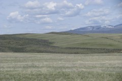 Gordon Spring Ranch 1 (486 +/- Acres) $534,600