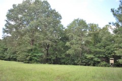 295 acres Land for sale- big timber, big bucks, close to east Montgomery and Auburn.  $2595 per acre.