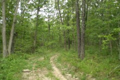 Recreational, Hunting & Country Home Site in Morgan County