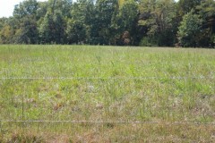 Pure Hunting & Recreational Property in Warren County