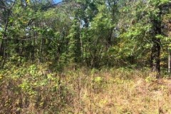 Attention All Hunters!!! 17 acres m/l Monroe County, MO
