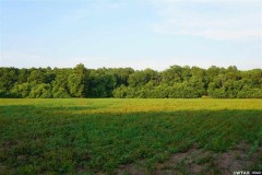 52.83 acres in Weakley County, Tennessee