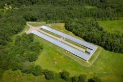 43.87 AC +/- & Poultry Barns for sale in Weakley County, TN