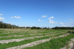 220 Acres of Commercial & Residential Development Lake Wales, FL
