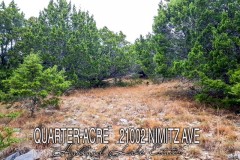 0.24 Acres In Travis County