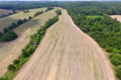 600 Acres w 400+/- of PRIME Cropland in Smithland, Ky