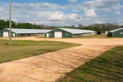 4 House Poultry Broiler Farm for Sale SW Mississippi