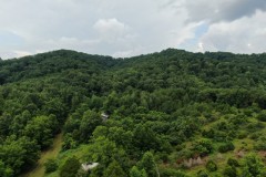 Tennessee Hunting Land for Sale Claiborne County- Tazewell