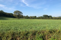 .56 Acres Unrestricted Land in Whitesburg, TN For Sale