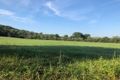 .57 Acre Unrestricted Lot For Sale in Hawkins Co., TN