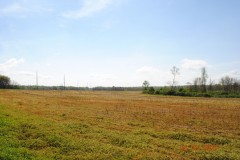 Chilton County Industrial Property