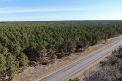 Multiple 40 Acre Timber Properties in Adams County
