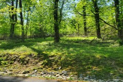 3/4 Acre Building Lot with Cherokee Lake Access