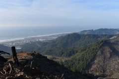 Ocean View Timber and recreational acreage Gold Beach Oregon
