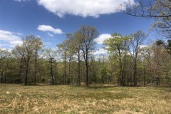 Real Nice 1BR 1 Full Bath Cabin w, covered porch hidden from Hwy 110 Shirley in Van Buren County Arkansas is this rural partially wooded usable 12 acres + or - with small creek running thru property