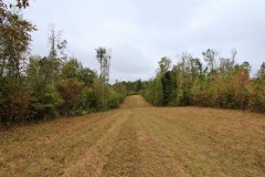 60+/- Acres in Pleasant Garden, Guilford County