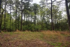 1 Acre +/- wooded lot in Deer Run, Evening Shade, Sharp County, Arkansas 72532.