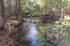 5.04+/-acres with year round creek