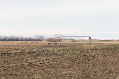Land Auction!!! Tract #2 To Be Sold At Auction Thursday, April 29, 2021 1:30 PM 224 Acres, more or less - Antelope County, Nebraska