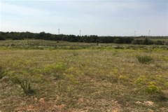 UNDER CONTRACT - Grazing & Hunting Acreage