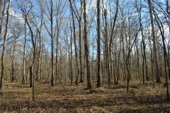 Excellent recreational property near Pike Road, AL