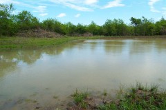 Dual Potential Cattle/Recreational Property in Swink Choctaw County, OK 75 AC