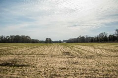 424 Acres of Great Timber and Farm land!