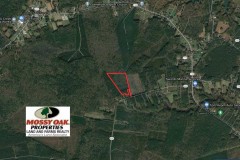 UNDER CONTRACT!!  21 Acres of Tall Timber in the Countryside of Mathews County Virginia!