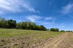 Odell Rd - 5 acres - Muskingum County