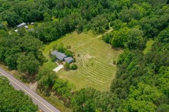 Gorgeous Home on 11 acres With Pasture and Mature Timber
