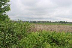 Prime Dodge County recreational land